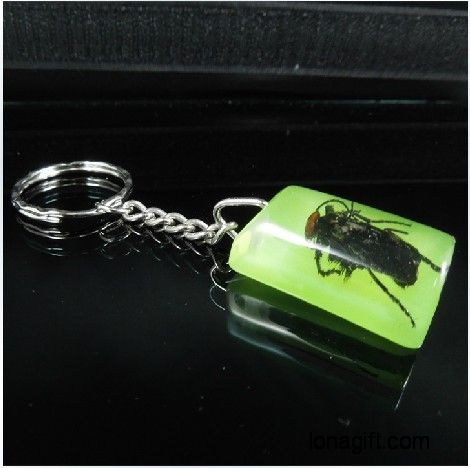 昆蟲琥珀紀念鑰匙扣